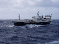 P3140001