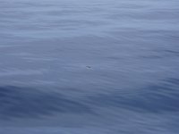 P8050010
