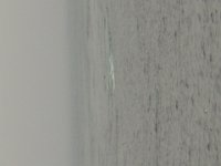 P8070061