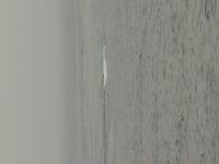 P8070062