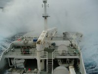 P2040029