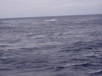 P2150020