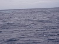 P2150021