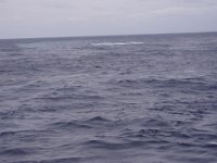 P2150022