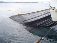 P7110042