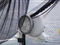 P7110048