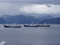 P9020028