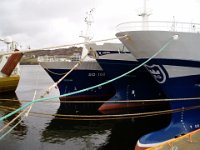 P3100005