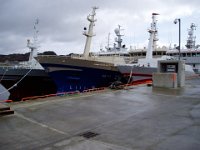 P3100008