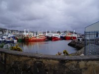 P3100010