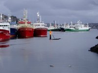 P3100011