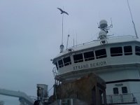DSC00776