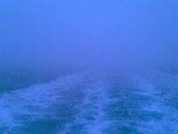 IMAG0025