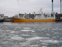P1150004