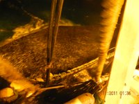 DSCN0076