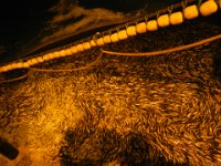 DSCN0083