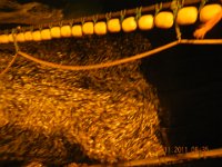 DSCN0084