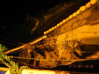 DSCN0104
