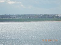 DSCN0341