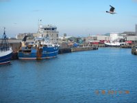 DSCN0349